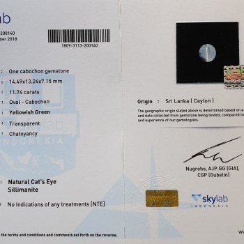 551295_c3893479-ad63-4c1e-a6ba-0e30977ad5ca_982_982[1][1]